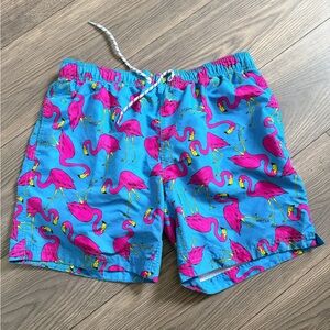 Tropical Flamingo Men's Swim Trunks - Blue and Pink